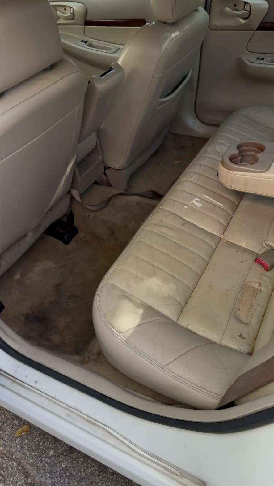 Family sedan back seat and carpet - before